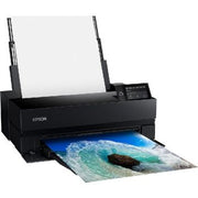 Epson SureColor P900 17