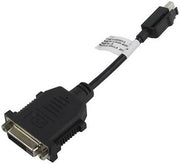 PNY Mini DisplayPort to DVI-D Adapter, Wide Compatibility, Black | 91008580V2