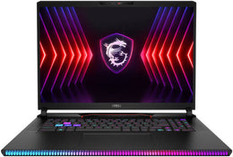 MSI Raider GE78 HX 14VIG Gaming Laptop, 17