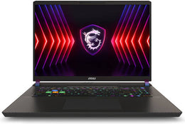 MSI Vector 17 HX A14VHG Gaming Laptop, Intel Core i9-14900HX, 17